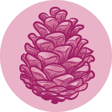 Terpene Icon Pinene