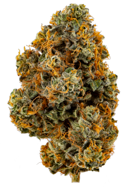 Pootie Tang Cannabis Flower