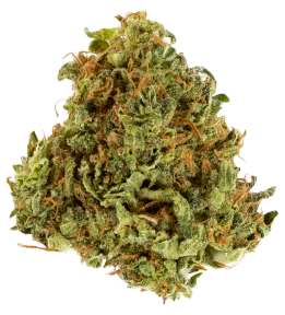 Sinderella Cannabis Flower