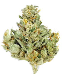 Sour Dubb Cannabis Flower