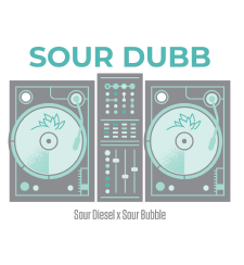 Grassroots Cannabis Sour Dubb