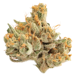 White Dawg Cannabis Flower