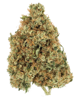 White OG Cannabis Flower